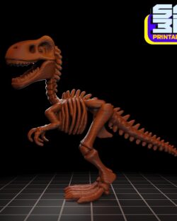 Trex skeleton 3dprintables