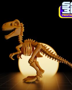 Trex skeleton 3dprintables
