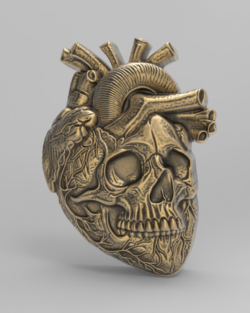 Anatomical Heart Skull 3D Model for CNC Carving and 3D Printing