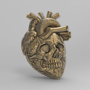 Anatomical Heart Skull 3D Model for CNC Carving and 3D Printing