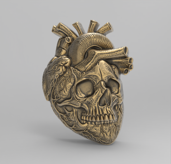 Anatomical Heart Skull 3D Model for CNC Carving and 3D Printing