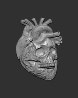 Anatomical Heart Skull 3D Model for CNC Carving and 3D Printing