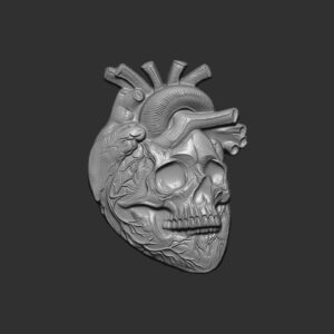 Anatomical Heart Skull 3D Model for CNC Carving and 3D Printing
