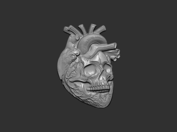 Anatomical Heart Skull 3D Model for CNC Carving and 3D Printing - Image 2