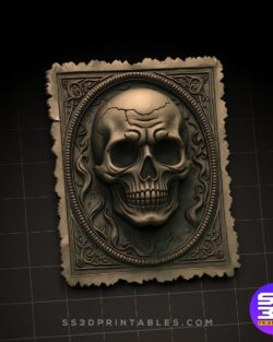 Skull Card Vintage Ticket Relief