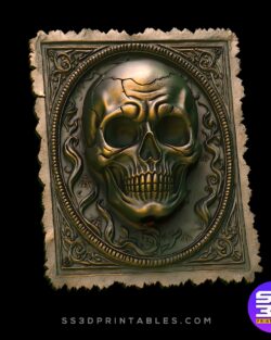 Skull Card Vintage Ticket Relief